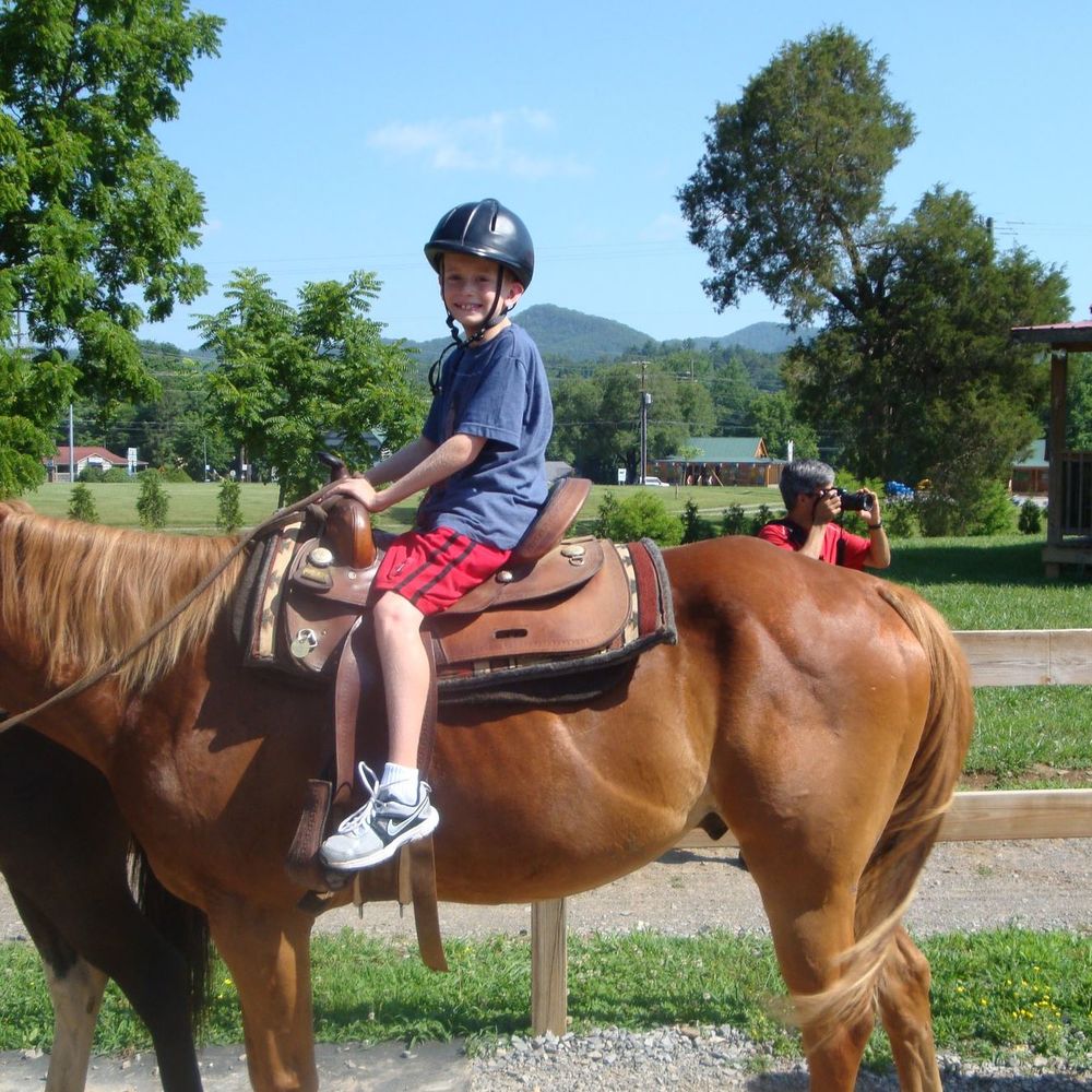 Meet your Posher, Donna